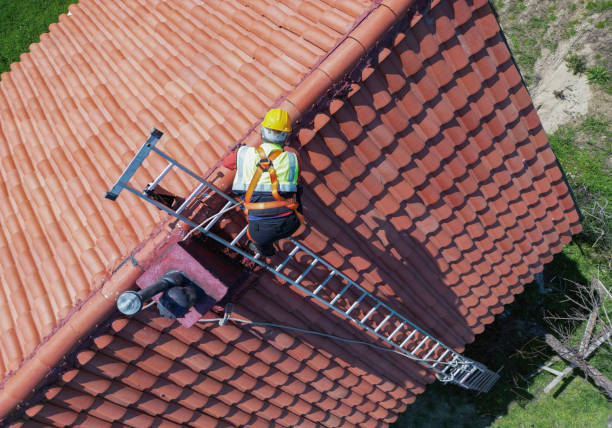 Best Roof Moss and Algae Removal  in Mckinleyville, CA